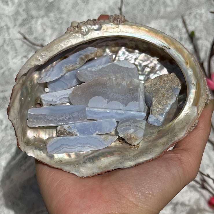 Blue Lace Agate Raw Stones