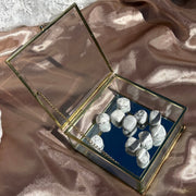 Howlite Tumbles