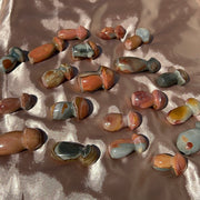 Polychrome Jasper Mushies