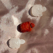 Turtle Carvings
