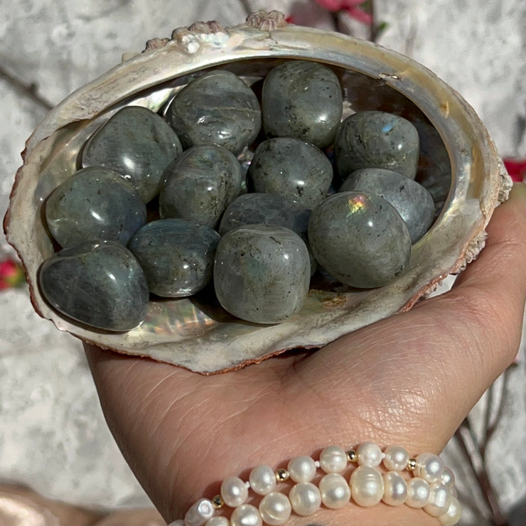 Labradorite Tumbles