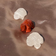 Turtle Carvings