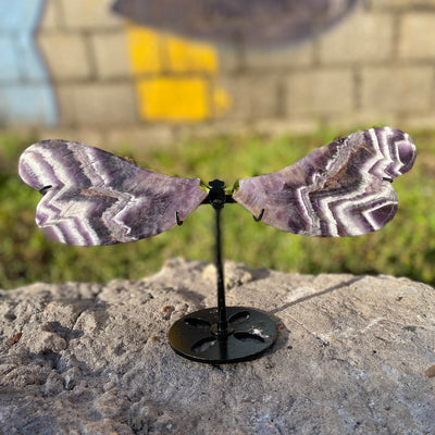 Dream Amethyst Dragonfly Wings
